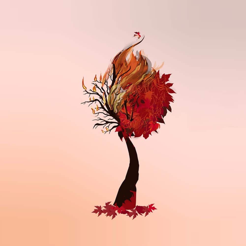Illustration of burning tree